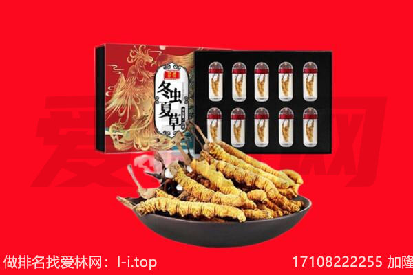 贵南冬虫夏草回收
