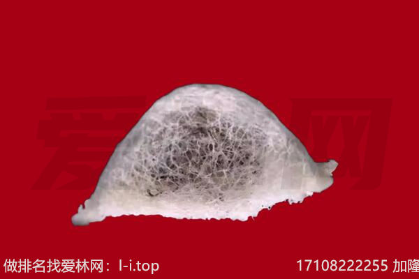 贵南燕窝回收
